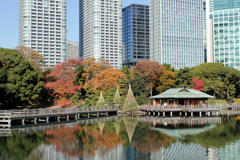 濱離宮恩賜庭園中的「潮入之池」，是直接引入東京灣的海水，在此可欣賞隨著潮汐更迭的景色。（圖／ ⒸTCVB）
