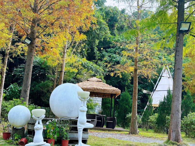 台北夢幻婚宴場地「青青食尚花園會館」，每年12月上旬，落羽松與白雪木同步綻放，從淡淡的綠色轉換為閃耀的金黃色。
