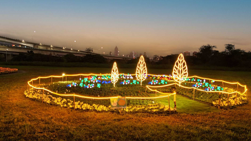 鴨鴨公園晚上還有燈飾布置，燈光散發柔和的光芒，與花海交織成夢幻氛圍。（圖／新北市高灘處提供