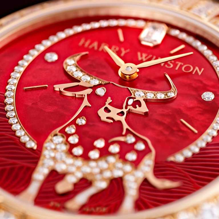 HARRY WINSTON「Premier卓時」系列，牛年生肖限量腕錶╱2,795,000元。（圖╱HARRY WINSTON提供）