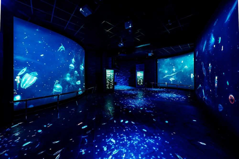  全新「微光漂流」沉浸式互動體驗將帶領民眾一探靜謐的深海世界。