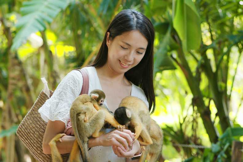 易飛網全新「漫遊石垣島4日」深度旅遊，行程走訪八重山民俗村，除可體驗傳統日式民俗風情，還能與可愛松鼠猴互動。