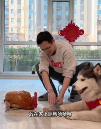 主人一招殺雞儆狗嚇死二哈。（圖／翻攝自臉書）