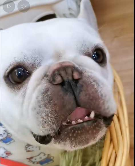 (圖/翻攝自臉書)