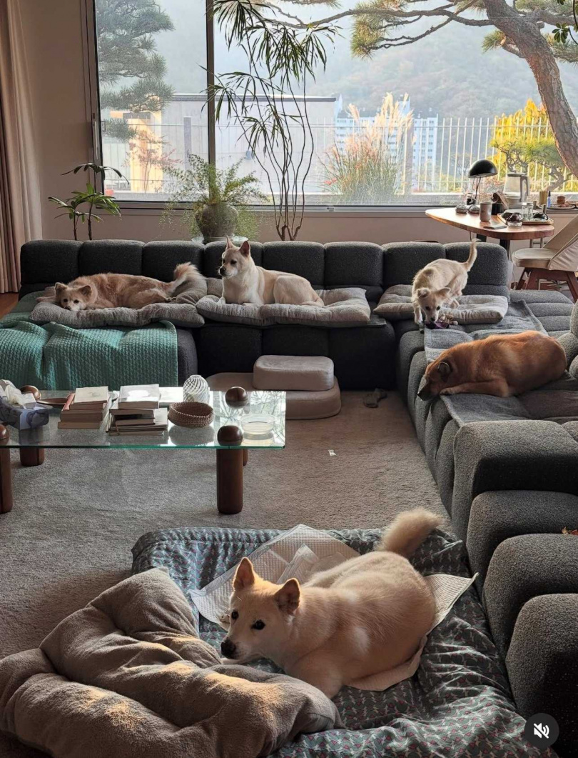 （圖／取自李尚順IG）