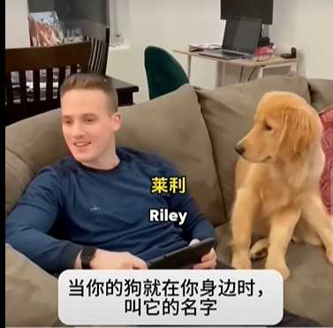 主人呼叫狗狗卻又無視牠，萌寵反應太搞笑。（圖／翻攝自臉書）