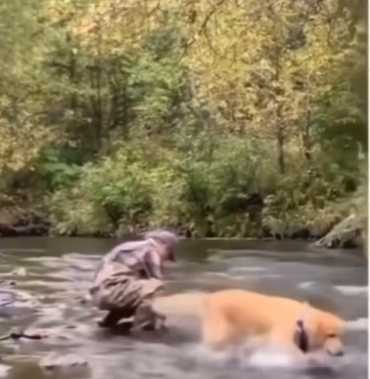 狗狗用嘴釣起一隻大魚。（圖／翻攝自IG）