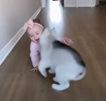 嬰兒與狗狗比賽。（圖／翻攝自臉書）