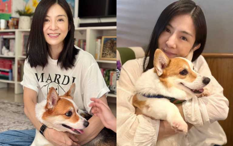 (圖/取自 楊采妮 小紅書)