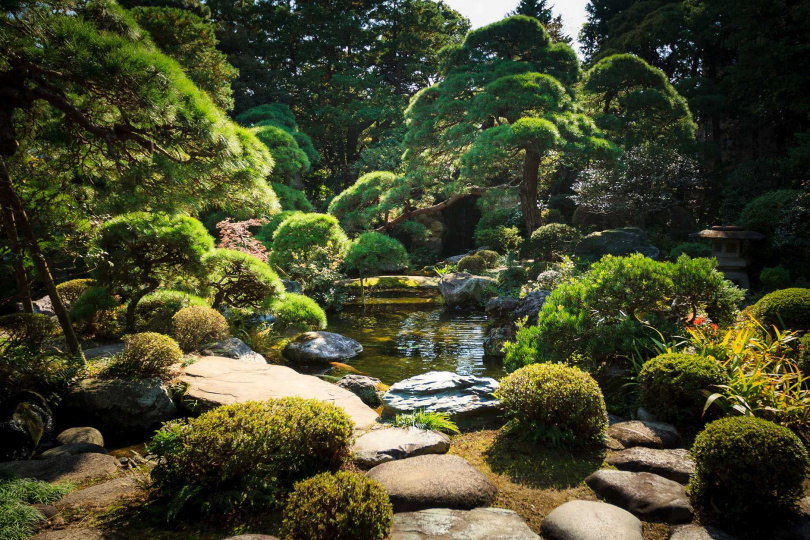 綠意盎然的書院造庭園是山本亭的視覺靈魂。(©葛飾區山本亭)