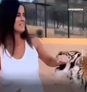 女子被老虎纏上，只能保持淡定力求全身而退。（圖／翻攝自臉書）
