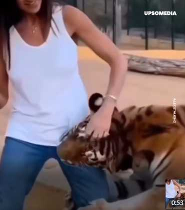 女子被老虎纏上，只能保持淡定力求全身而退。（圖／翻攝自臉書）