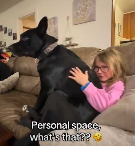 大黑狗就是要賴在女孩身邊。（圖／翻攝自臉書）