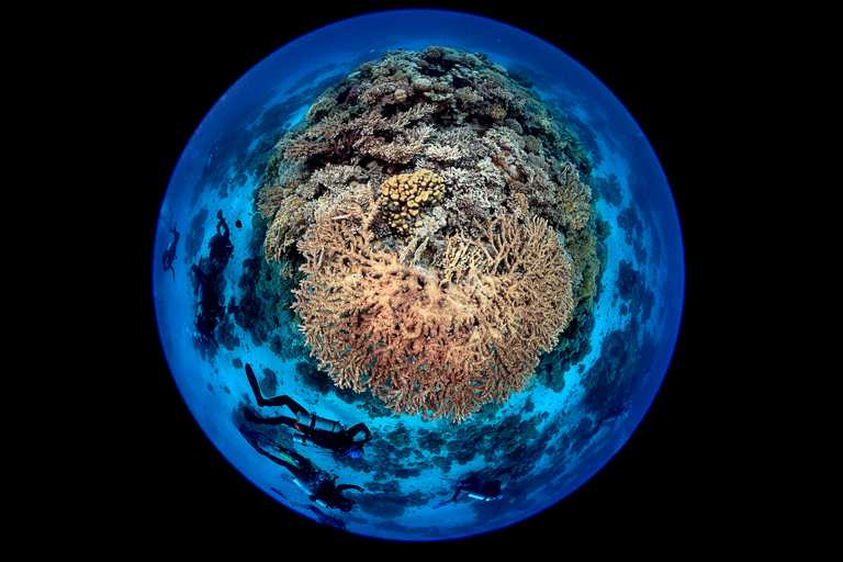 BLANCPAIN《五十噚攝影特展》，特別展出台灣水下攝影師吳永森精采作品。（圖╱BLANCPAIN提供）