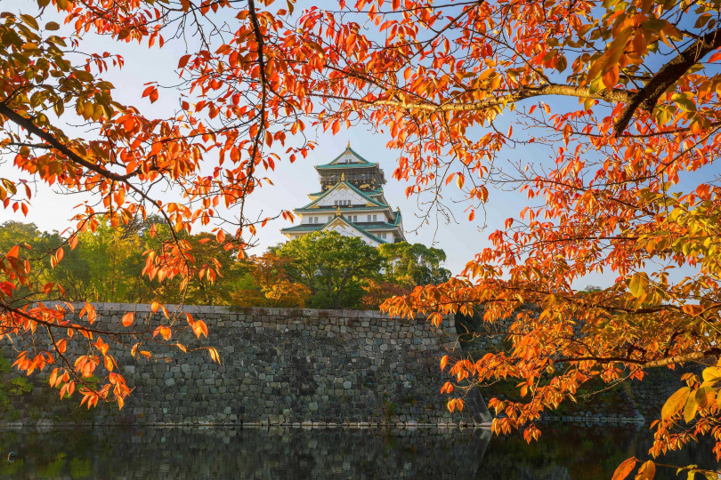 捷絲旅大阪心齋橋館表示，日本在9月時序逐漸進入賞楓的最佳時刻，被譽為一生一定要來一次，大阪最佳賞楓景點，特別推薦鄰近天守閣的「大阪城公園」。 （圖／大阪觀光局提供）