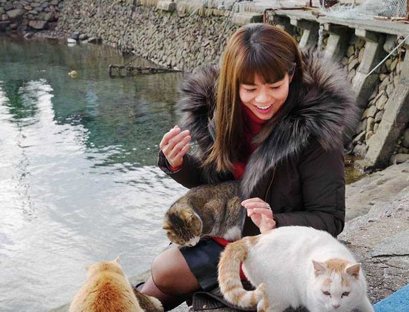 曾去日本愛媛縣青島旅遊的紀儀羚，對該處有兩百多隻流浪貓印象深刻，貓咪還爬上她的吉他。（圖／翻攝自紀儀羚臉書）