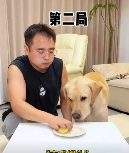 狗狗吃到苦瓜臉都綠了。（圖／翻攝自臉書）