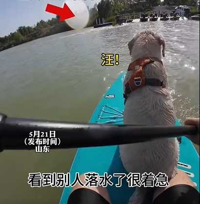 拉拉以為有人溺水,立馬跳下水救人。(圖/翻攝自臉書)