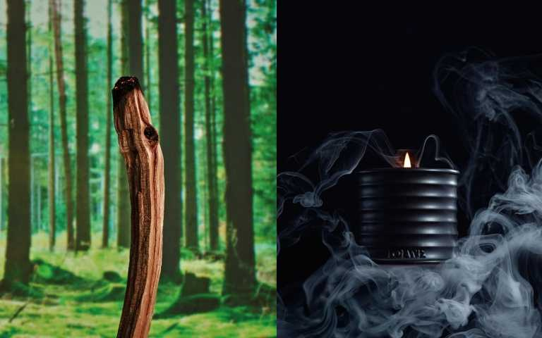 LOEWE 聖木香氛蠟燭 170g / 3,490元、610g / 8,950元（圖／品牌提供）