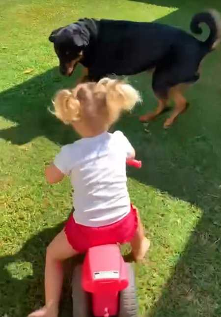 小女孩和羅威納犬之間的互動超級溫馨。（圖／翻攝自臉書）