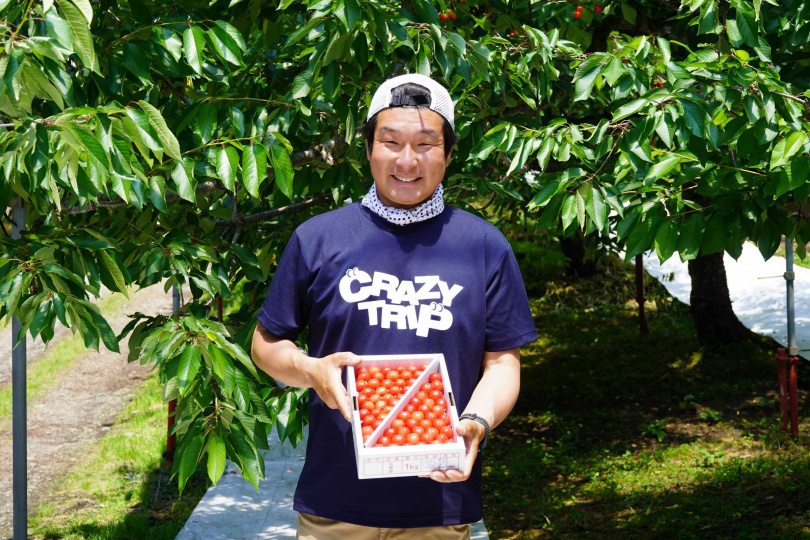 位於秋田湯澤市的「觀光櫻桃園」於櫻桃季期間推出採果體驗，遊客亦可選購整盒櫻桃，圖為園長嵩下功。