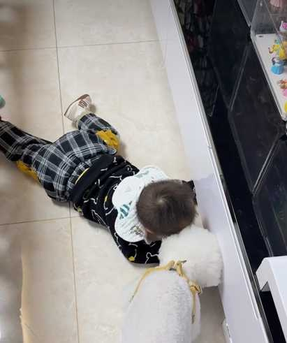狗狗與男孩咬耳朵,他幫忙挖出電視櫃底下的肉乾。(圖/翻攝自臉書)