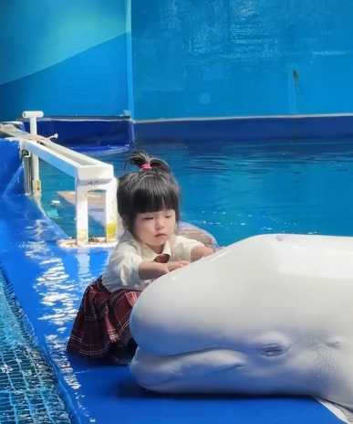 女孩與小白鯨的互動，意外掀起網友熱議。（圖／翻攝自臉書）