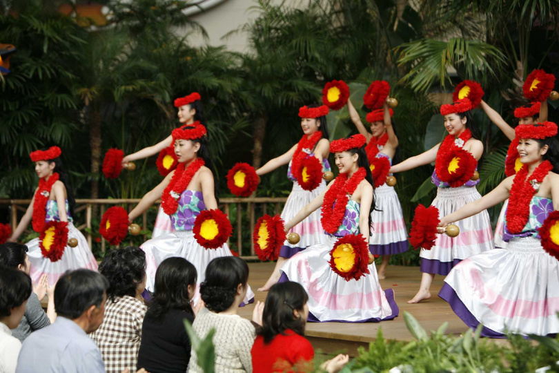 （圖／華映提供）