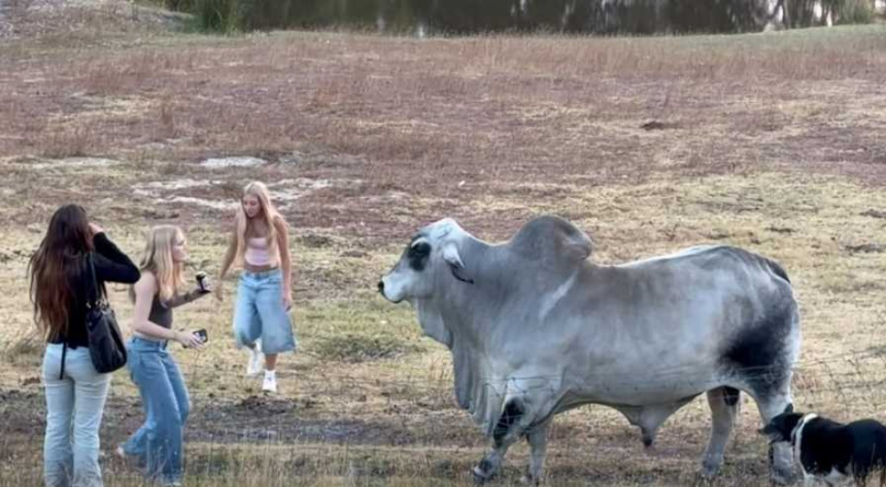 Brucey和幾名年輕女孩的邂逅。（圖／翻攝自臉書）