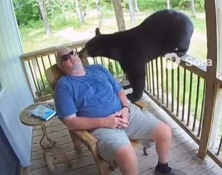 老翁睡覺黑熊靠近,兩邊都被嚇到了。(圖/翻攝自臉書)