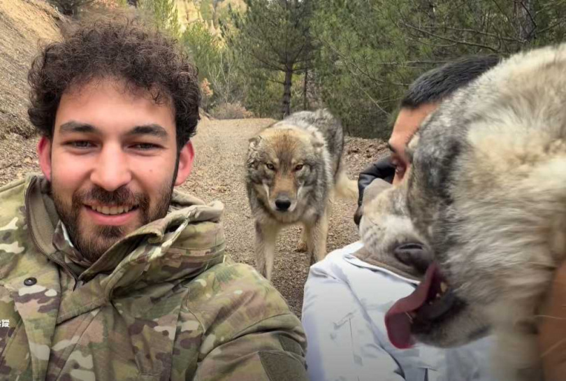 兩名男子與狼巧遇。（圖／翻攝自臉書）