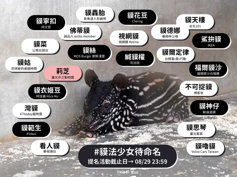 （圖／翻攝自「台北市立動物園」臉書）