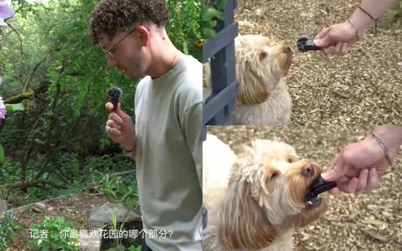 （圖／翻攝自小紅書）