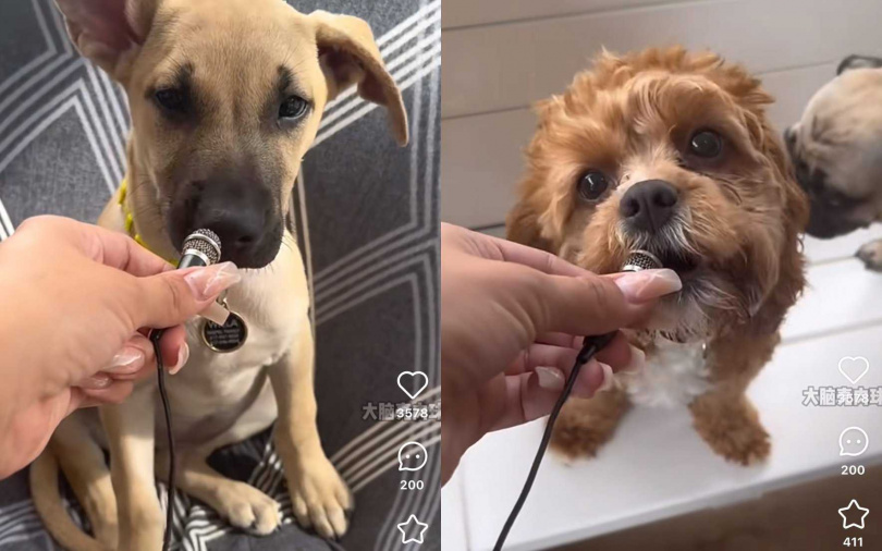 （圖／翻攝自小紅書）