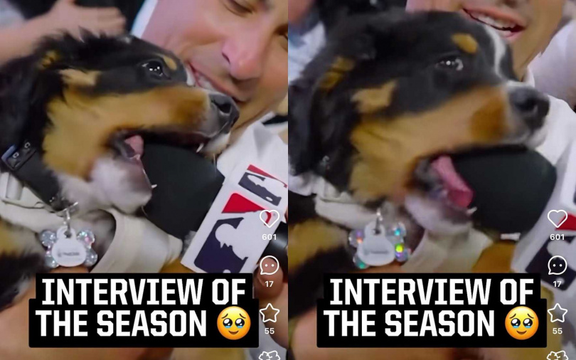 （圖／翻攝自小紅書）