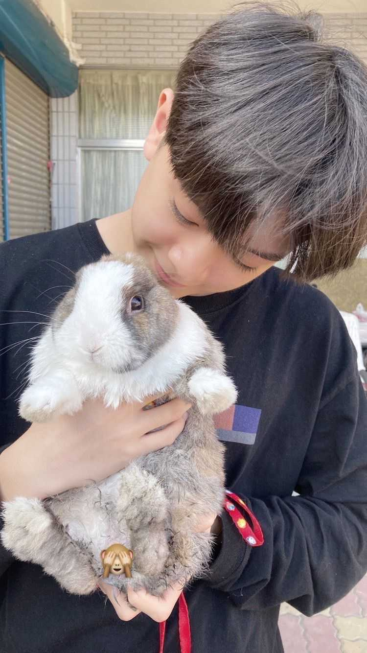 柏安非常疼愛寵物兔梅西，現在7歲的牠頭好壯壯。（圖／柏安提供）