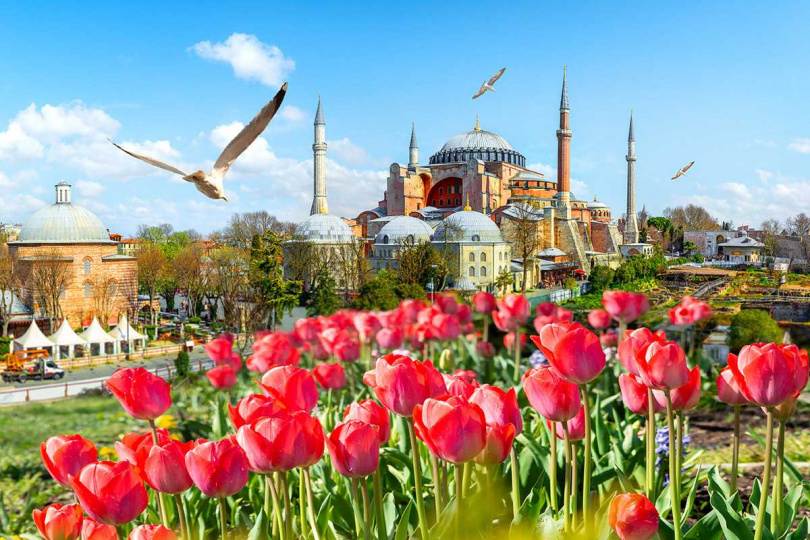 土耳其鬱金香花節在每年3～5月盛大展開。