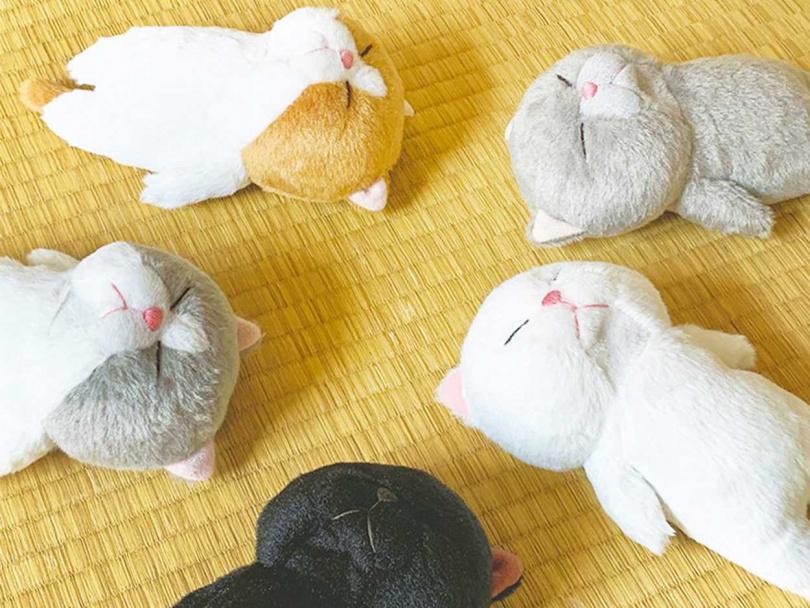 (圖/業者提供)