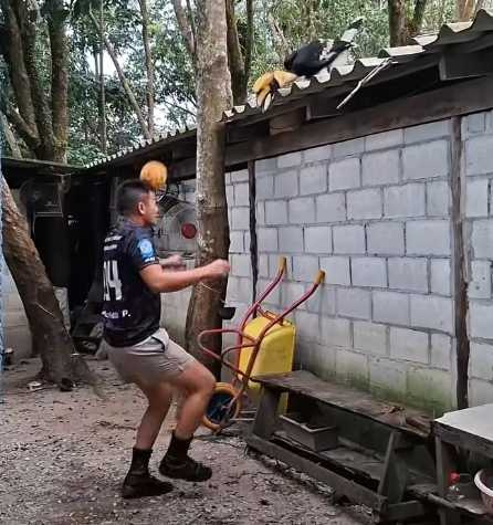 男子和犀鳥玩藤球。(圖/翻攝自臉書)