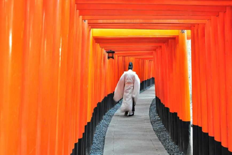 京都「伏見稻荷大社」以壯觀的千本鳥居而聞名。