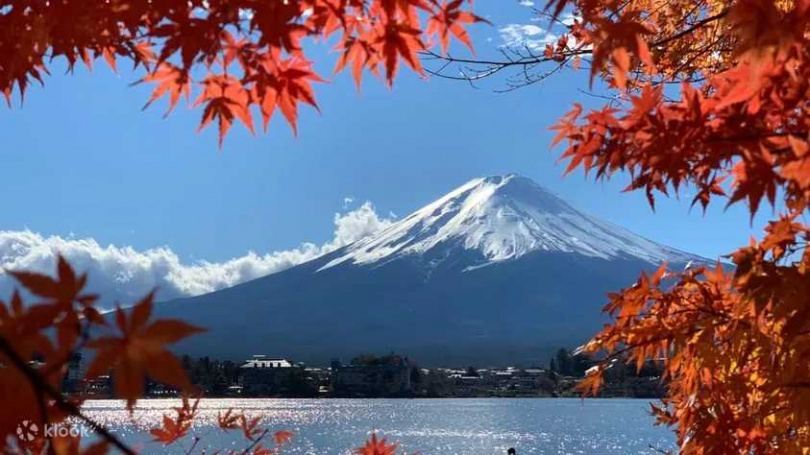 富士山周邊擁有許多賞楓勝地，可透過Klook一日遊將所有美景一網打盡（圖／Klook提供）