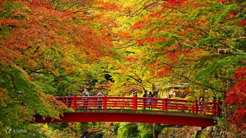 伊豆位在日本靜岡縣東部，也是日本著名的賞楓勝地（圖／Klook提供）
