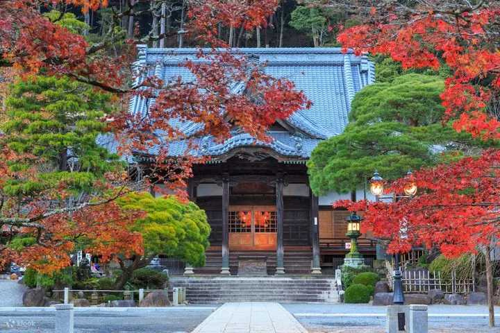 打卡有「伊豆小京都」之稱的修善寺，沉浸在擁有2,000多棵楓樹及佈滿日式庭園造景的歷史古寺（圖／Klook提供）