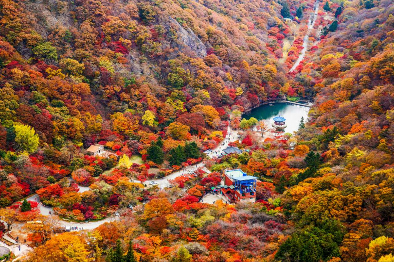 參加Klook內藏山賞楓一日遊，造訪有「韓國第一楓葉山」之稱的內藏山（圖／Klook提供）