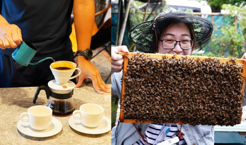 「花式春遊住房專案」提供手沖咖啡課和蜜蜂生態導覽，後者會到當地的「山海蜂情」讓遊客了解蜜蜂相關知識。