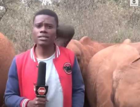 記者做新聞連線結果被大象打擾。（圖／翻攝自臉書）