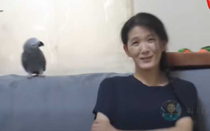 灰鸚鵡喜歡玩Alexa。(圖/翻攝自臉書)