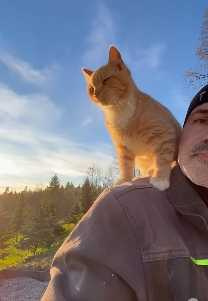 鋪石板工人與貓咪的邂逅。（圖／翻攝自臉書）