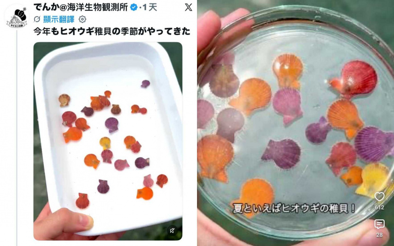 (圖/翻攝自X)