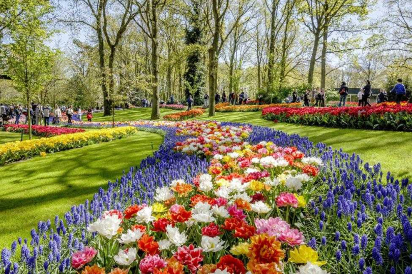 KKday推出「荷蘭庫肯霍夫花園」一日遊、半日遊、門票與專車接送等商品，售價1,690元起。（圖／荷蘭庫肯霍夫花園）
